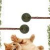 Kedi Nanesi Topu Lolipop Matatabi Çiğneme Çubuğu Kedi Oyuncağı