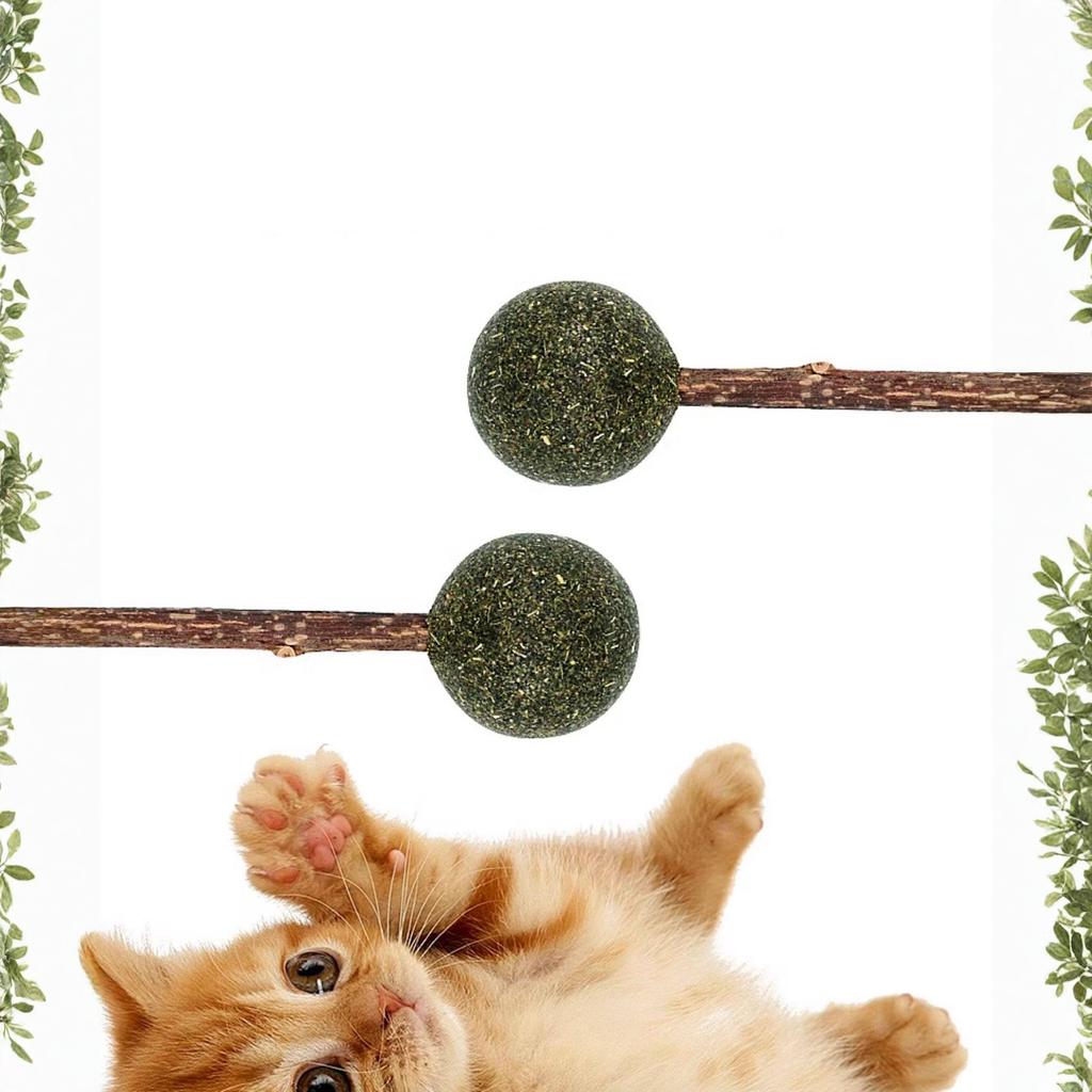 Kedi Nanesi Topu Lolipop Matatabi Çiğneme Çubuğu Kedi Oyuncağı
