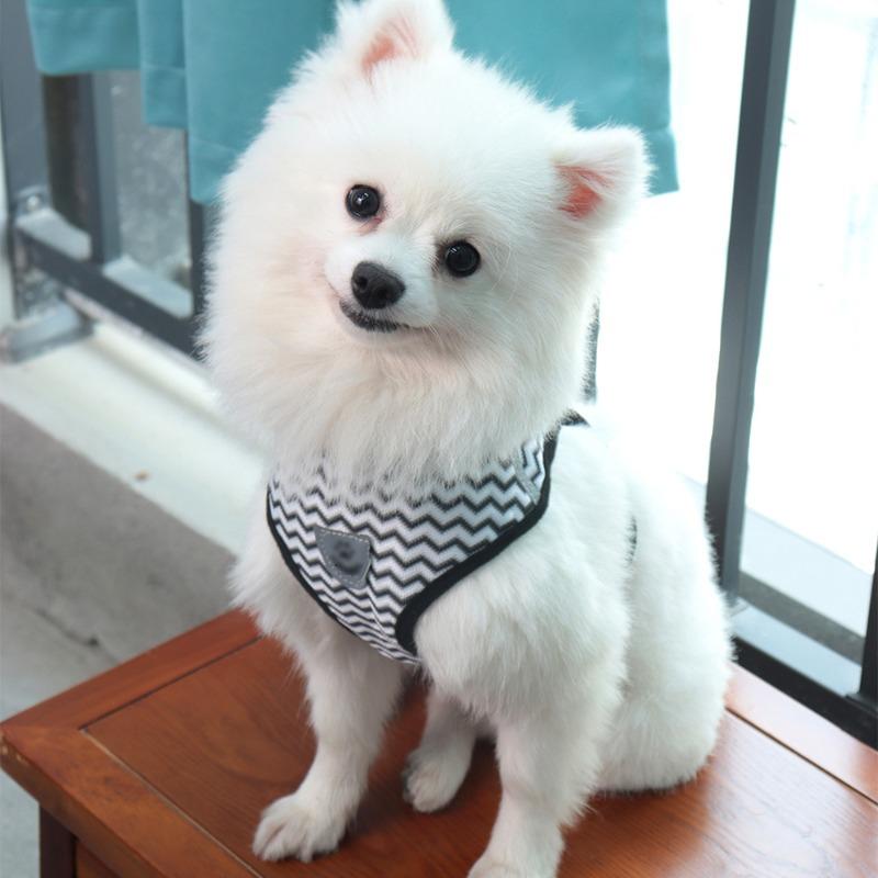 Back and Chest Harness Set for Pet Dogs - Leash for Taking Dogs Out for Walks - Cat Leash - Small Dog Breathable Walking Rope