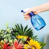 Free Shipping: Hand-Pressure Sprinkler Bottle - Small Watering Can for Succulents