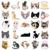50 Cute Cat Waterproof Stickers for Laptop, Suitcase, Car, and Fridge Decoration