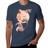 Where The Shell Do You Think You Are Going Tshirt Basic Solid Color Short Sleeve Tshirt