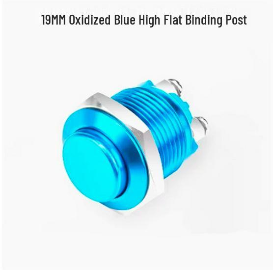 19mm/22mm Full Oxidation Metal Button Switch - Screw/Solder Terminals, Multi-Color, Self-Reset Momentary Power