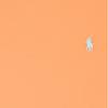 Polo Ralph Lauren Solid Color Slim Fit Crew Neck Short Sleeve T-Shirt Men Tops Orange 710671438-406