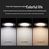 FSL LED Recessed Ceiling Downlight