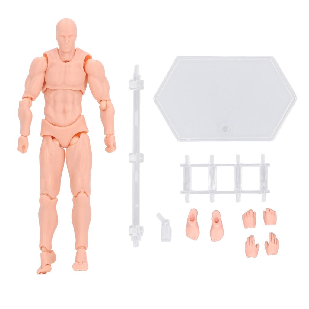 Figure Model PVC Action Figure Drawing Model Movable Joint Pedestal Support Artist Draw Painting Mod