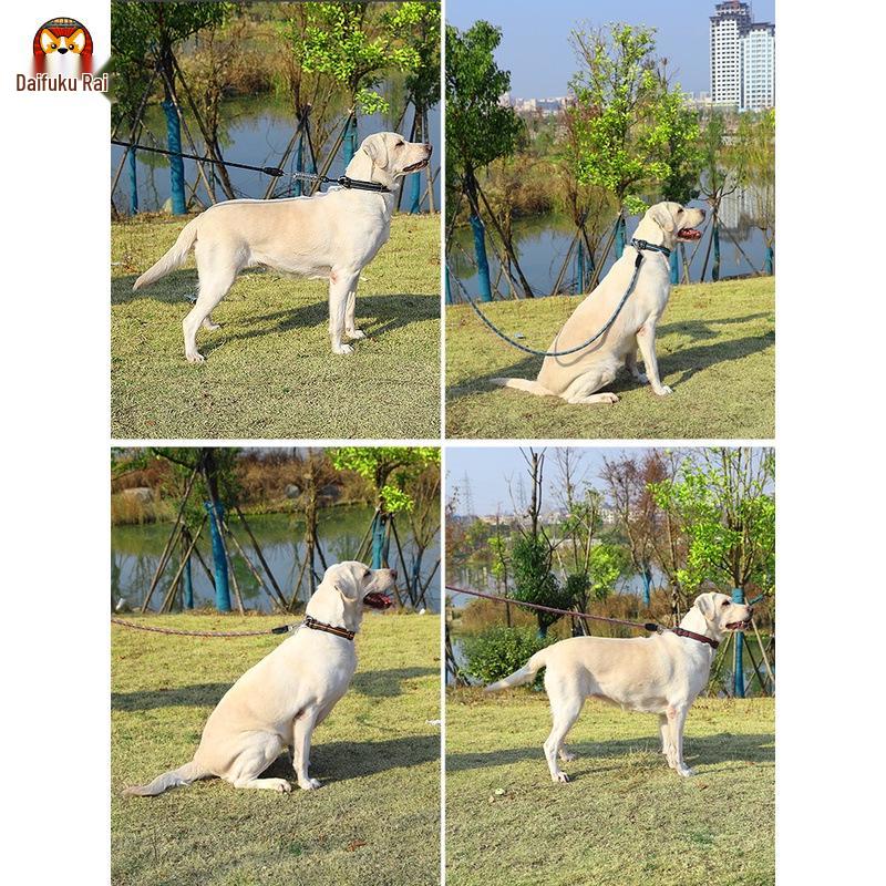 2m Anti-Shock Dog Leash with Collar for Medium & Large Breeds - Golden Retriever & Teddy Training Rope