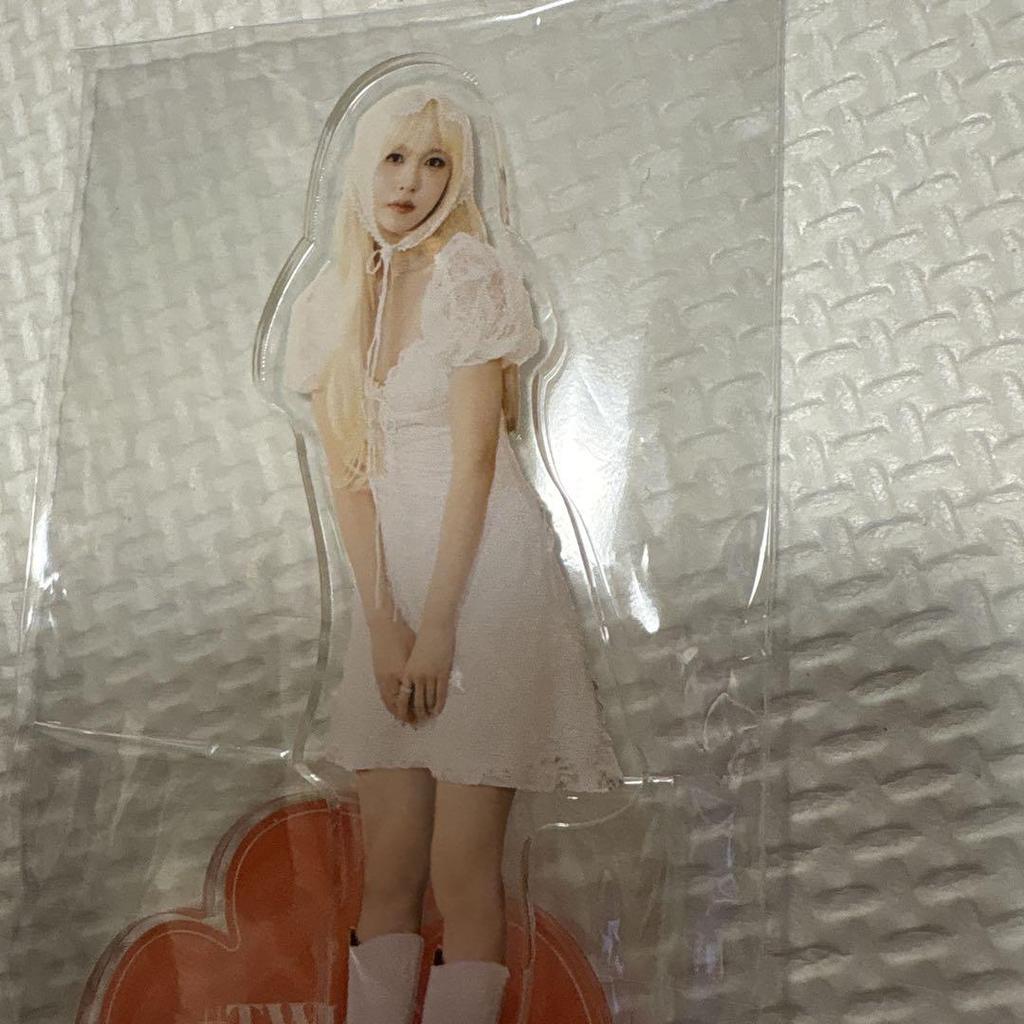[USED] Twice Mina Acrylic Stand #twice5 Anonymous Shipping