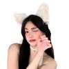 Lolita Cat Ears Headband Set Bow Halloween Dress Up Sweet Cosplay Headwear  Makeup