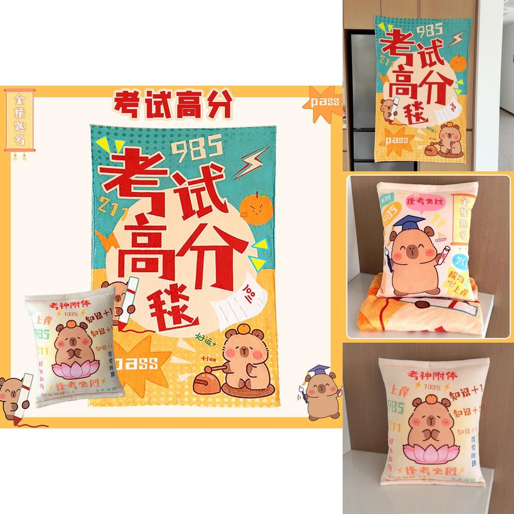 Short Plush Cushion Blanket For Students Graduation Gift