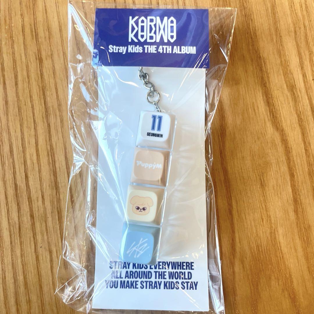 

[Б/У] Сынмин Stray Kids Брелок-кепка для клавиши Karma