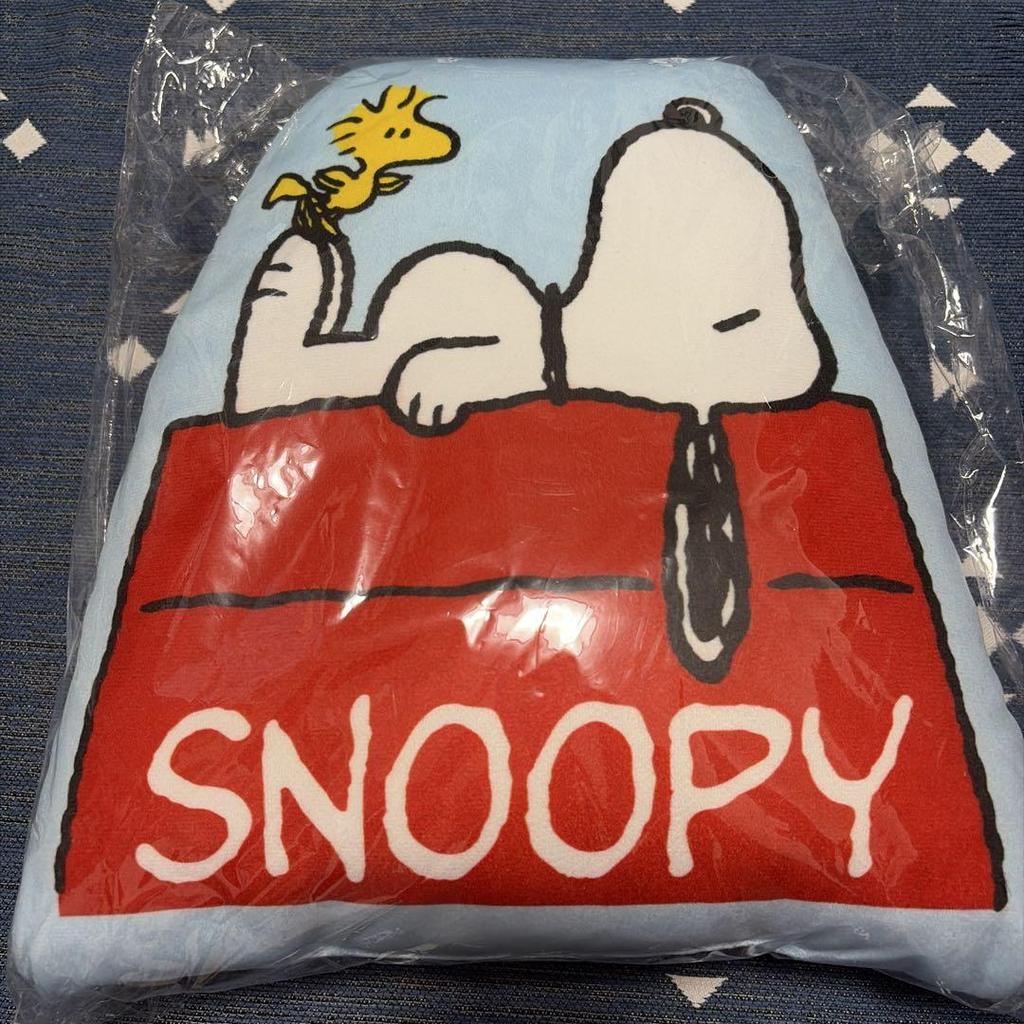 [USED] Snoopy 22-piece Lucky Box, Size 80A
