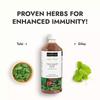 Kapiva Wild Tulsi Giloy Juice 1L Pack of 1 | Ayurvedic Daily Wellness & Immune Support Drink from Fresh Plants