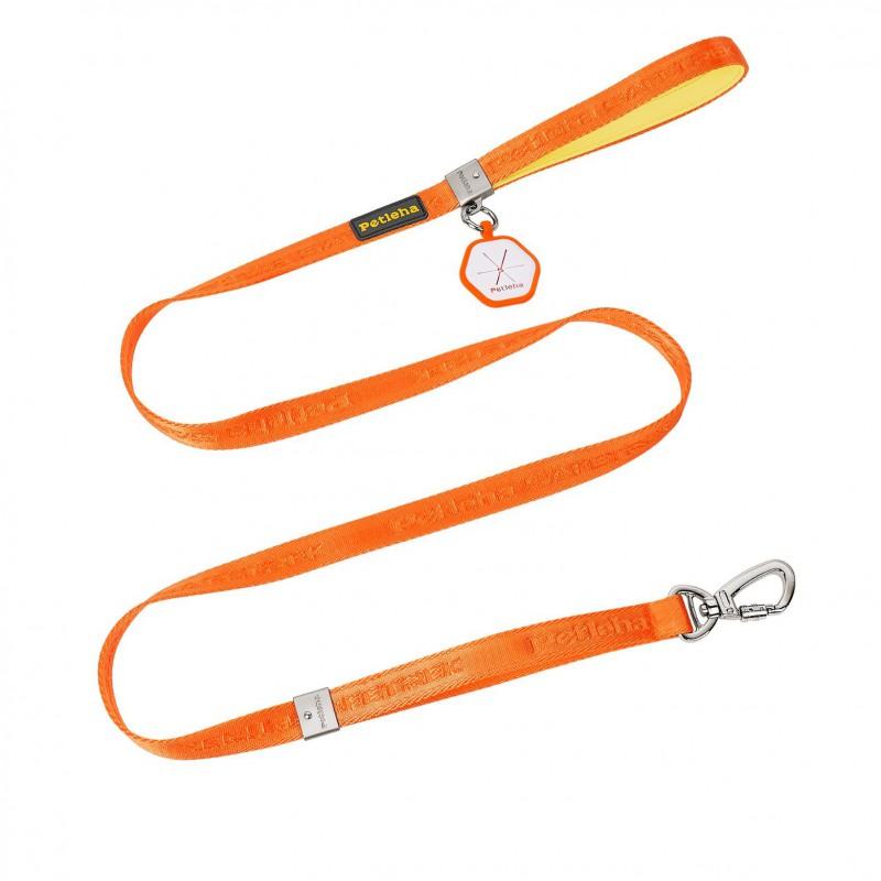 Dog Leash No Hand Chafe Small Large Dogs Pet Walking Lead S M Length Options