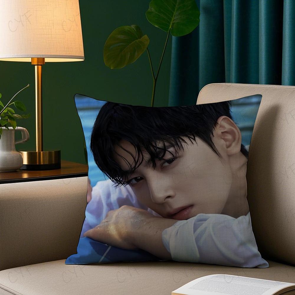 Kpop Styl Zpěvák Cha E-Eun W-Woo Povlak na polštář Povlak na polštář proti roztočům Neviditelný zip Hedvábný krátký plyš Potah na polštář na pohovku
