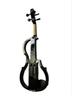 Electroacoustic Electronic Violin