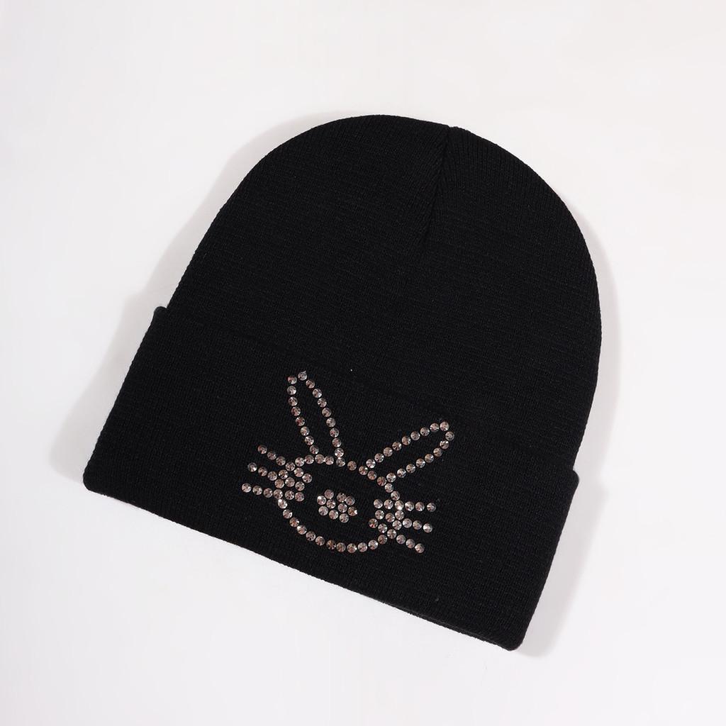 Korean Style Knit Hat With Bunny Embellishments For Autumn Winter Warmth