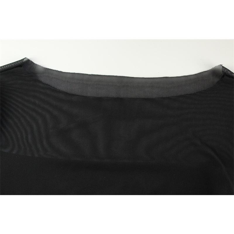 Women's Fashion Sexy Round Neck Long Sleeve Net Gauze Perspective Slimming Dress