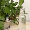 Portable Self Watering Water Seeper Automatic Drip Irrigation System Pot Culture Supplies Potted Dropper Device Garden Eauipment