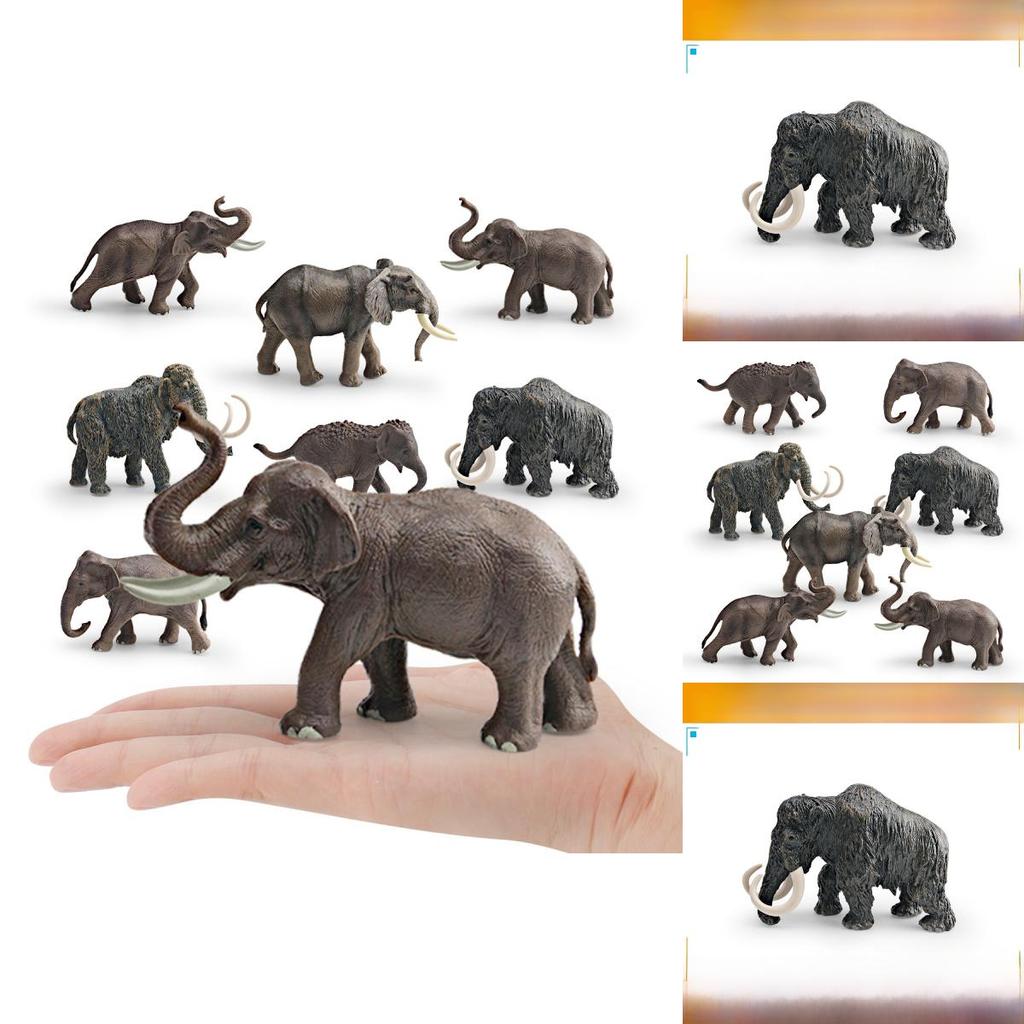 Animal Wildlife Model Toy For Kids Educational Decor And Collectors
