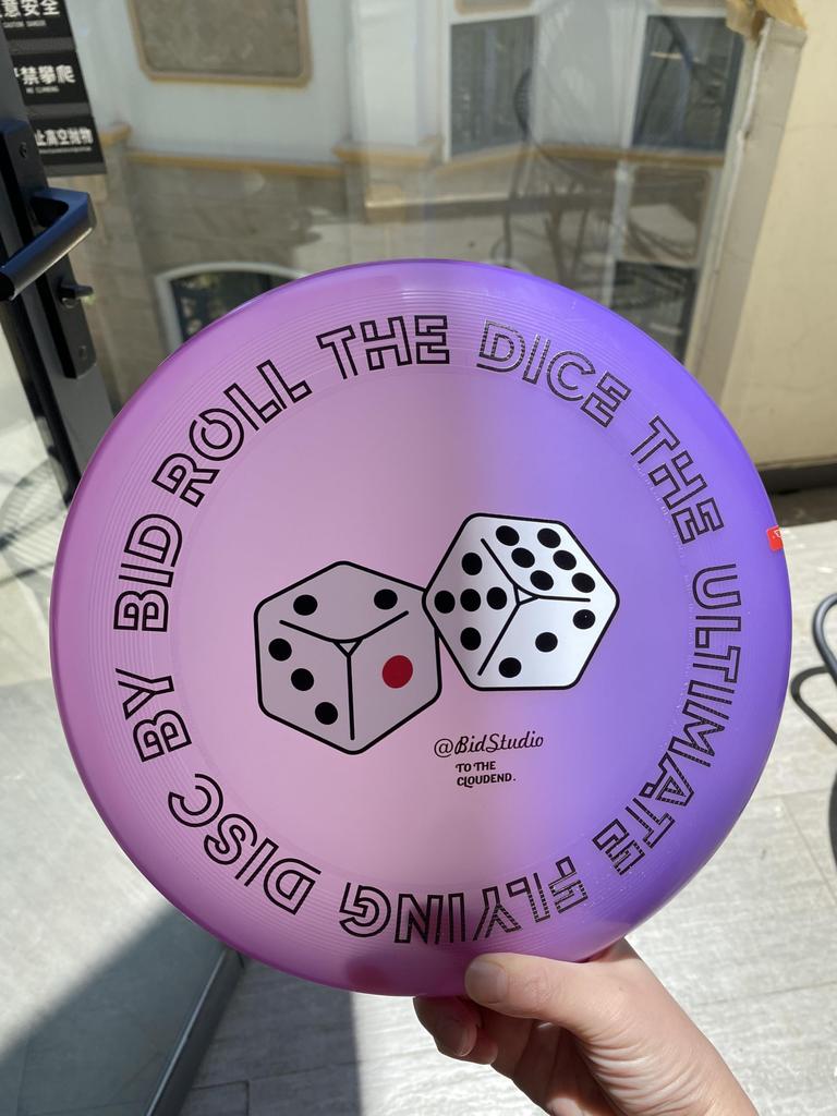 UV Color-Changing Frisbee, Ultimate Competition, 175g, BIDSTUDIO