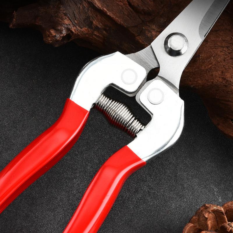 Orchard Fruit Picking Shears Picking Grapes and Melons Scissors Garden Fruit Tree Flower Branch Grafting Gardening Scissors