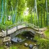 Bridges Bamboo 3d Murals Bedroom Living Room Wall Murals Wallpaper