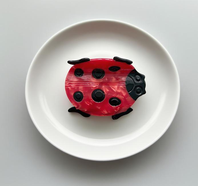 Medium Ladybug Acetate Hair Claw Clip for Back of Head
