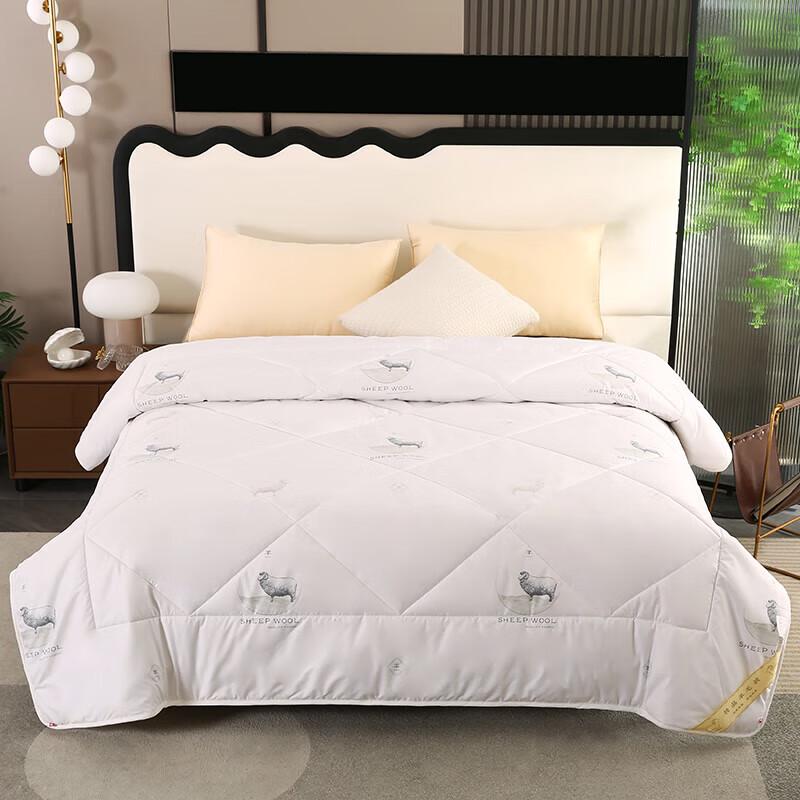 

LangSha Premium All-Season Silk Blend Quilt