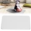 Pets Summer  Cooling Plate Hamster Rabbit Puppy Cat  Heat Dissipation Mat Tough SuppliesSmall Size