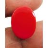 AAA+ Natural Red Coral 22.15 CT Oval Cabochon Cut Italian Loose Gemstone