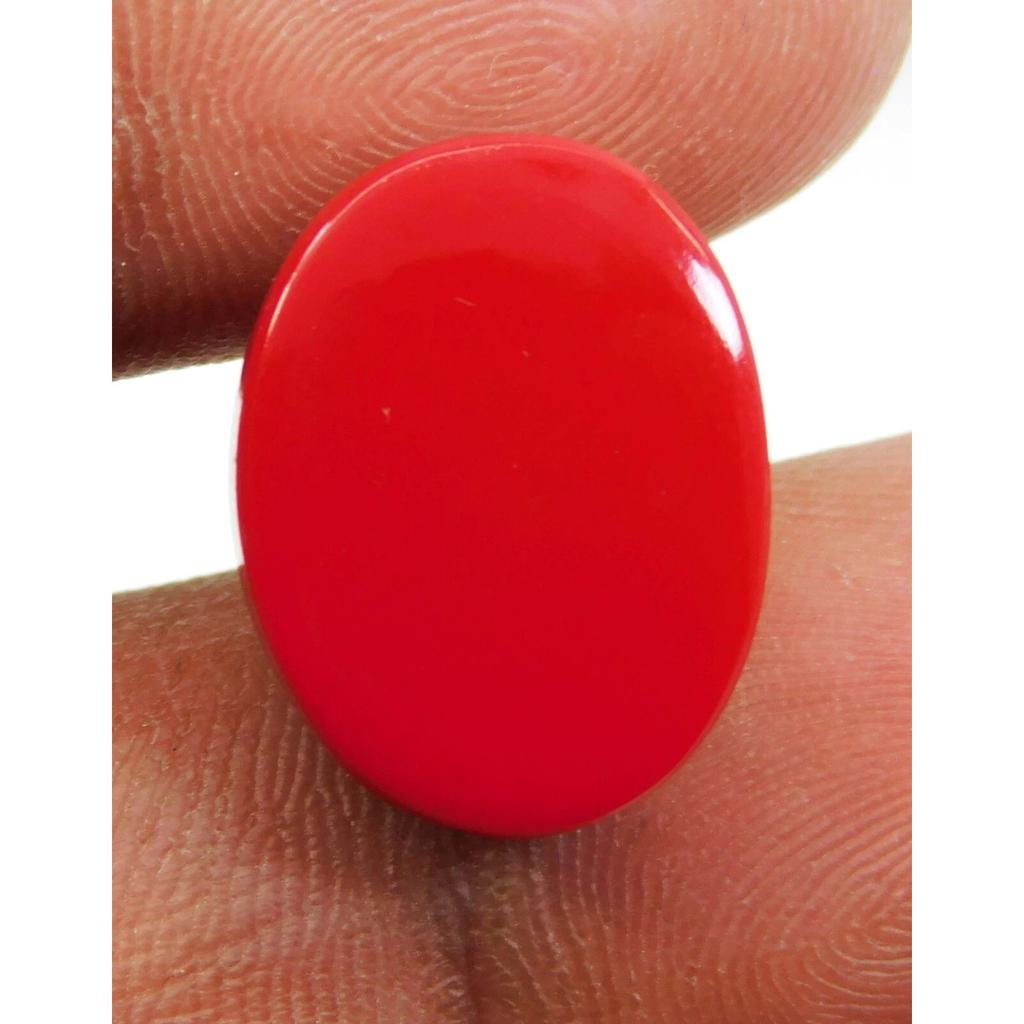 AAA+ Natural Red Coral 22.15 CT Oval Cabochon Cut Italian Loose Gemstone