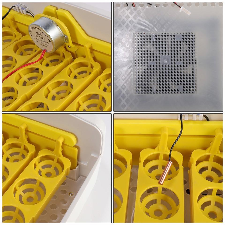Incubatrice per 42 Uova, Schiuditore Automatico con Candela per Uova