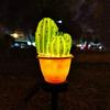 Solar Lights Outdoor Decorative,Creative Cactus Pineapple Stake Waterproof Landscape Lights,Landscape Lighting for Garden Patio Lawn Yard (Cactus B-2