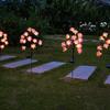 Plug-in Landscape Lawn Lamp Waterproof Garden Lights Creative Flower Solar Floor Lamp  Courtyard