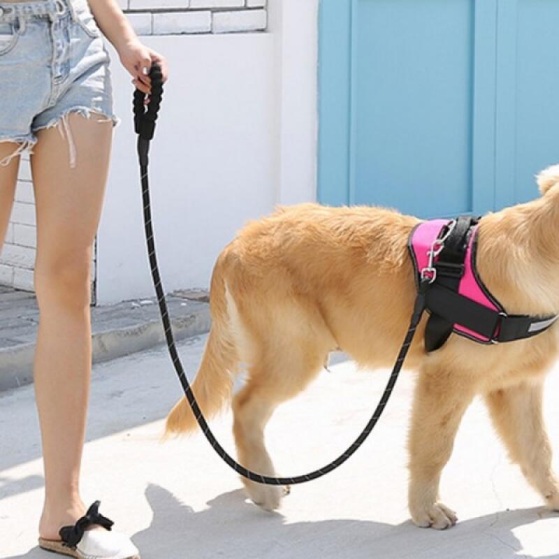 PET Large Dog Leash Puppy Dog Walking Leash 2m pink