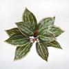 Artificial Fishtail Fern Wall
