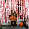 Spukhaus Blutiger Horror Dekor Verband mit Flecken Warnband Isolierbarriere Tatort Kulisse Terror Dekoration