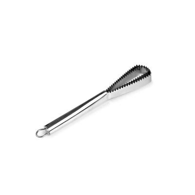 Ibili - 705610 - Scaler Brush