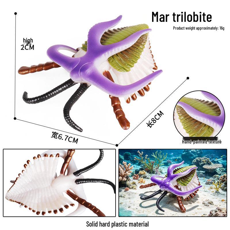 Simulationsmodelle von Meerestieren: Qualle, Oktopus, Meeresgarnele, Seeanemone, Tintenfisch, Pfeilschwanzkrebs, Flusskrebs, Pfeilkraut