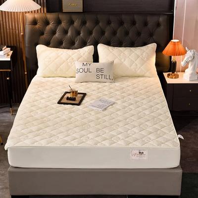 Winter Warm Flannel Mattres Cover Elastic Band Fitted Sheet Quilting Thickening Mattress Protector Cover Super Soft King Size