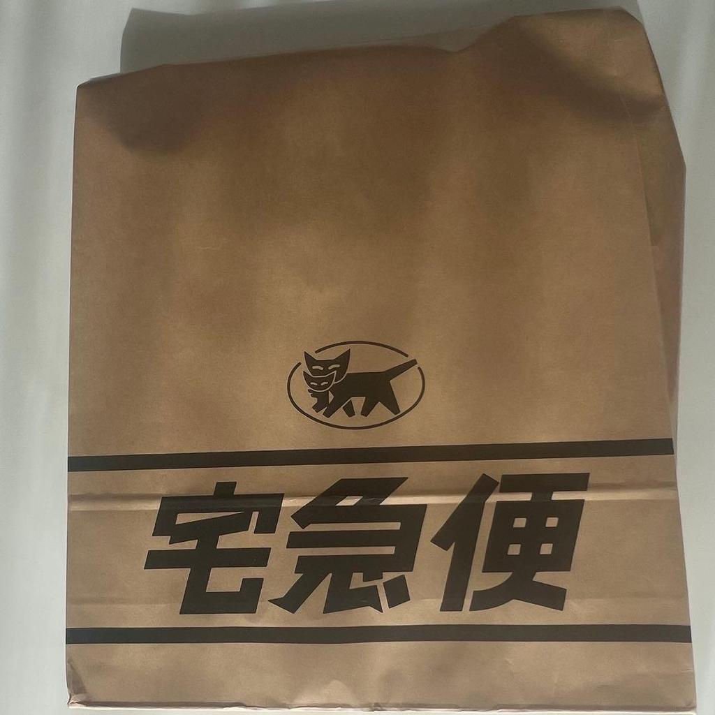 [USED] Papimu Skzoo Pop-up Tote Bag Seungmin