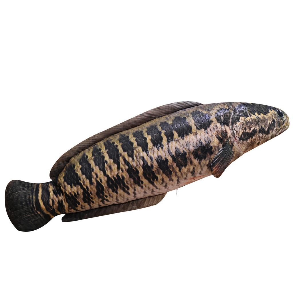 Plush Fish Pillow Soft Toy For Kids And Teens Decorative Gift