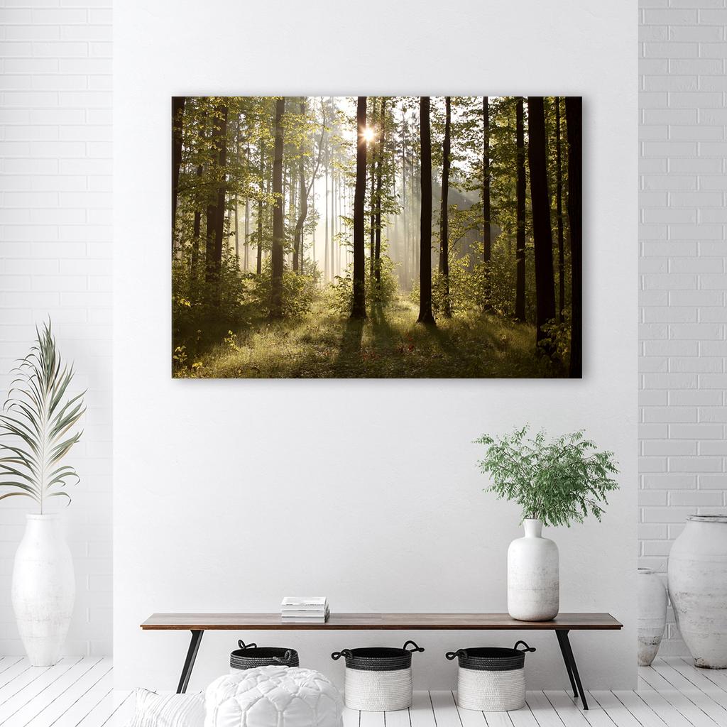 Canvastavlor Morgon i skogen