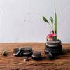 Kenzan Rotund pentru Ikebana, Broscuță de Flori cu Garnitură de Cauciuc, Instrument Fix pentru Aranjamente Florale
