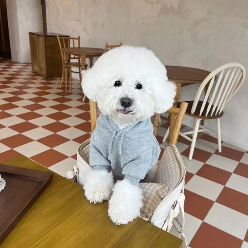 Warm Winter Pet Hoodie Versatile Plush Hoodie Teddy Bear Schnauzer Coat Pet Cat Small Dog Clothes for Small Dogs Puppy Clothing