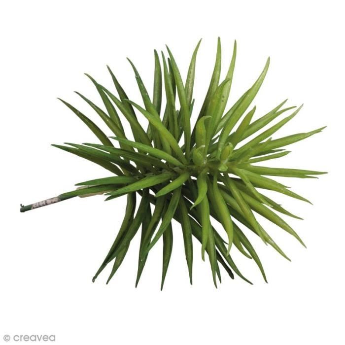 Plante artificielle - Rayher - Senecio - 10 x 9,5 cm - Imitation parfaite - Vert