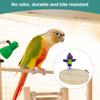Parrot Stand Bird Cage Accessories Natural Chewable Enrichment Toy Playground Accessories For Conure Chicken Pigeon Indoor
