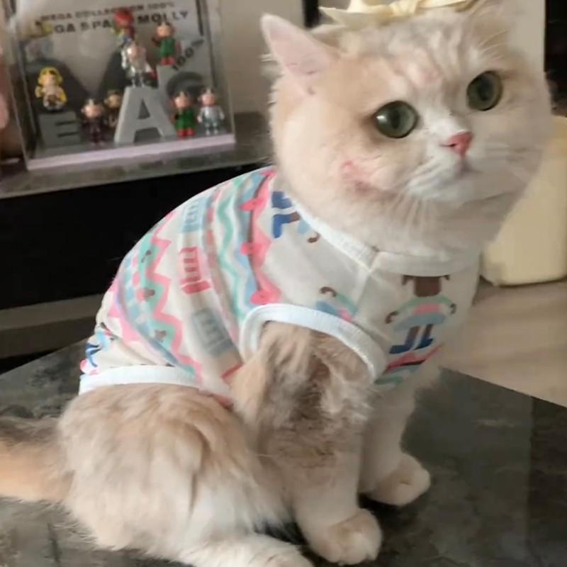 Pet Cat Clothes Summer Anti-hair Loss Cute Gold Gradient Ragdoll Cat British Short Summer Breathable Small Vest