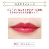 Blend Berry Juicy Lip Dew 002 KOSE (Black Cherry)